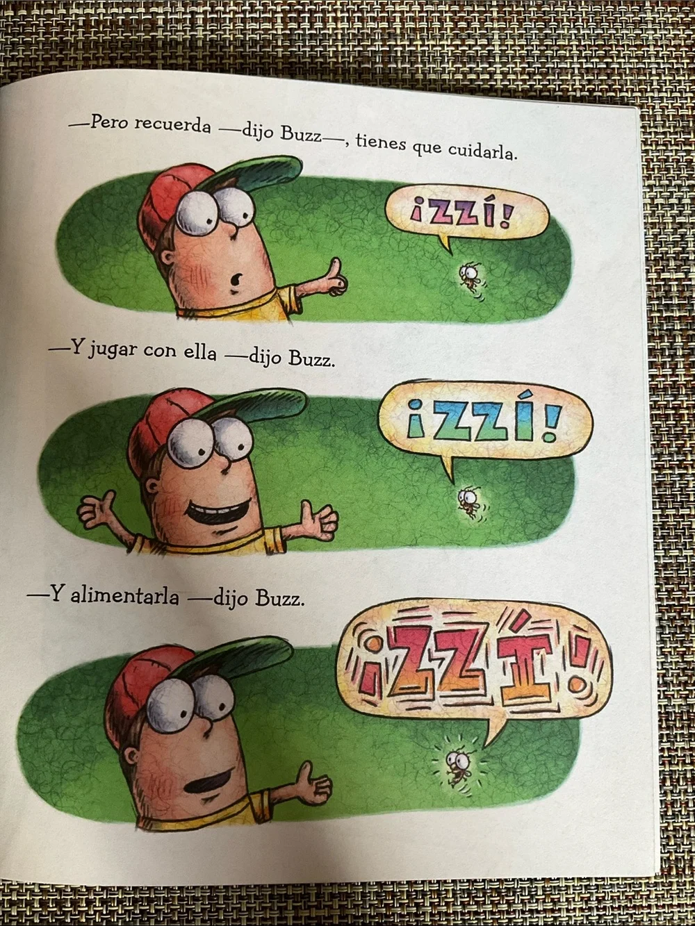 Children’s book in Spanish NWT